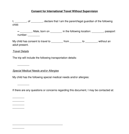 travel consent form word document