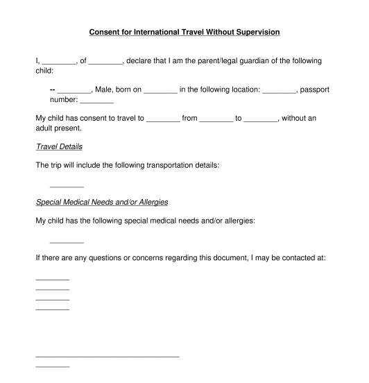 Travel Consent Form Sample Template Word PDF